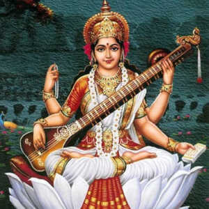 Saraswati River Pushkaralu Gangajal