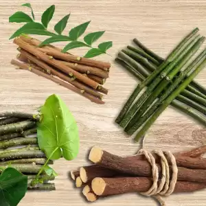 Datun – Chewing Stick